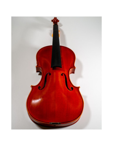 Violín Jay Haide Guarneri (No antique) 4/4