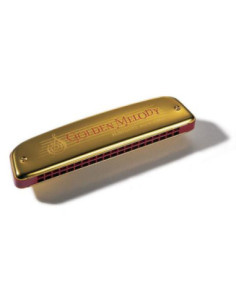 Armónica Hohner Golden Melody 40V 2416/40