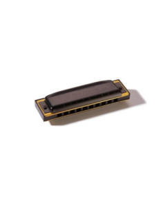 Armónica Hohner Pro Harp 20V 562/20 (E)