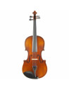 Viola